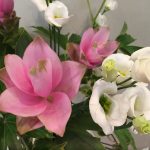 8月26日 「愛に根ざして」 佐藤和宏牧師
