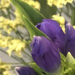 7月28日　「キリストの愛の」　佐藤和宏牧師