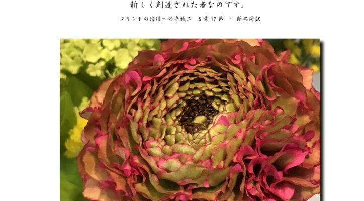 202504のサムネイル