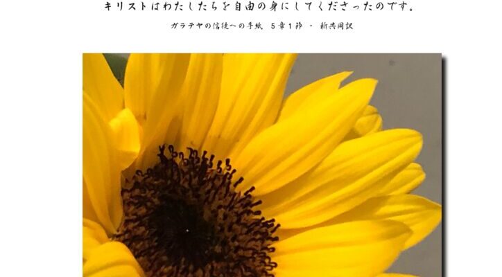 202507のサムネイル