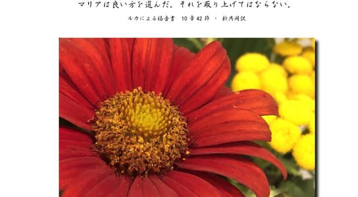 202508のサムネイル