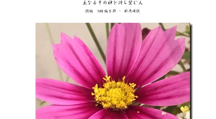 202510のサムネイル