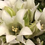 10月26日　「ただ信仰のみ」　佐藤和宏牧師