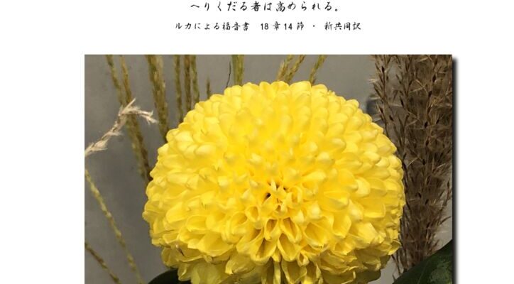 202511webのサムネイル