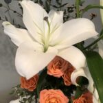 11月2日　「救いは神から」　佐藤和宏牧師