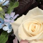 11月16日　「解き放たれて利他へ」　江藤直純牧師