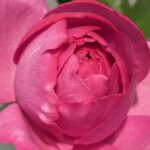 12月14日　「神は来て、救われる」　佐藤和宏牧師