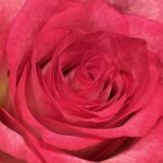 12月21日　「神の約束は今」　佐藤和宏牧師