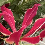 12月28日　「受容する神」　佐藤和宏牧師