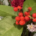 1月4日　「主のもとに一つ」　佐藤和宏牧師