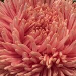 1月18日　「的外れの命」　佐藤和宏牧師