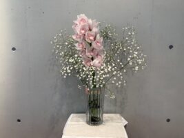 2026年1月25日　礼拝・顕現後第3主日