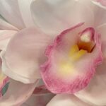 1月25日　「後向きに生きる」　佐藤和宏牧師