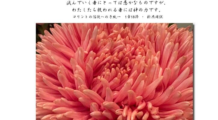 202602のサムネイル