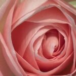 2月1日　「非常識な神」　佐藤和宏牧師