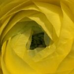 2月22日　「試練の理由」　佐藤和宏牧師